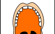 Nejčastější nemoci úst